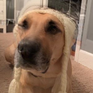 Meet your Posher, Camille